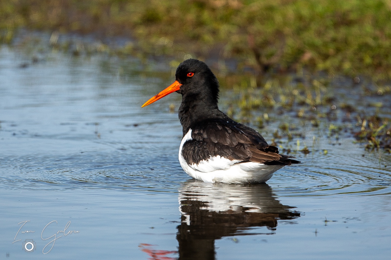 16 april 2022 165250  5D46162